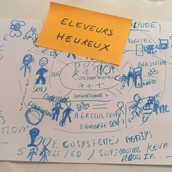 bulle-eleveur bulle-eleveur